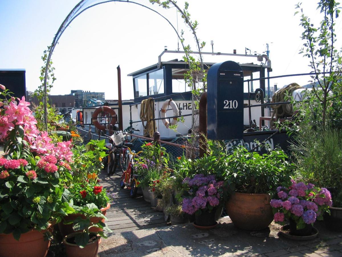 Boat & Breakfast Alhena Bed & Breakfast Amsterdam Dış mekan fotoğraf